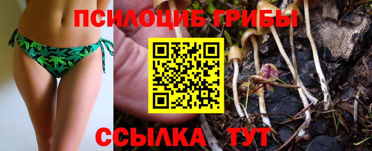 Галлюциногенные грибы ЛСД Еманжелинск
